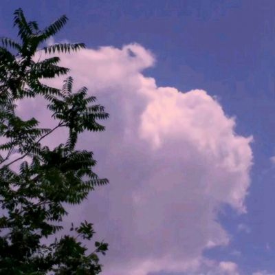 坦克挂机大战游戏