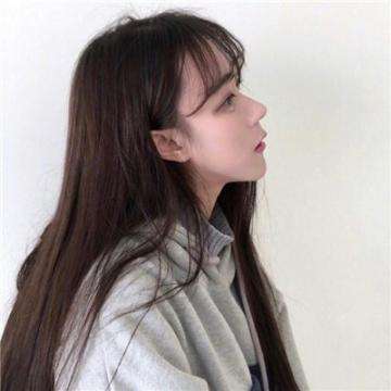 口袋大冒险九游版下载